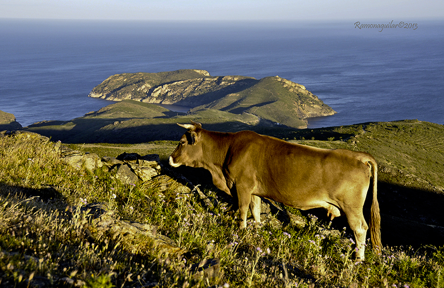 CapCreus-(4)