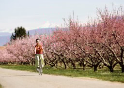 Pistes cyclables dans la Drôme