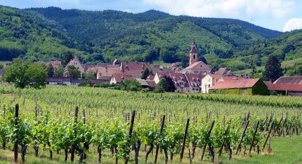 Haut-Rhin Camping Haut Rhin