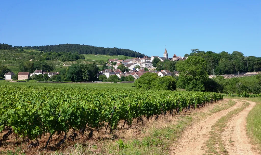 Côte d'Or