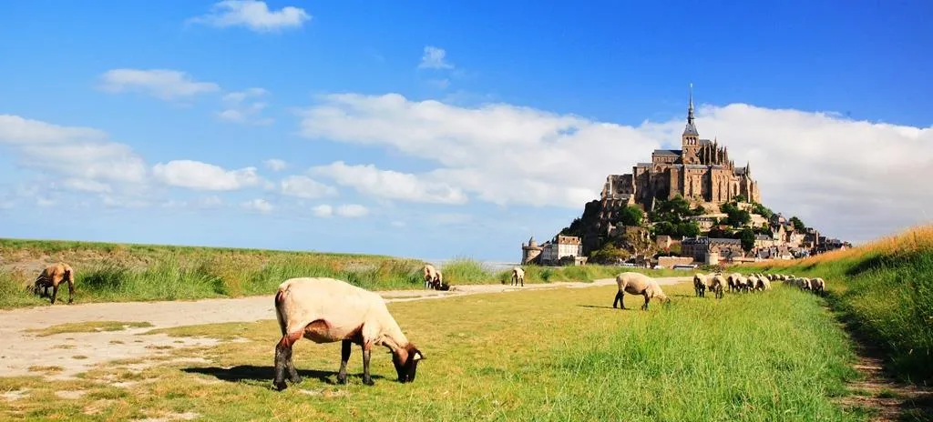 La baie du Mont St Michel