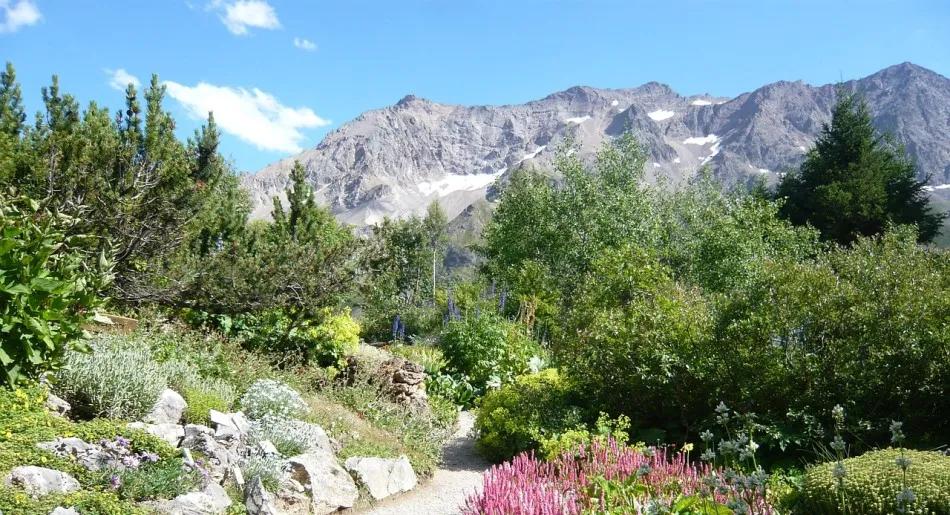 Hautes-Alpes