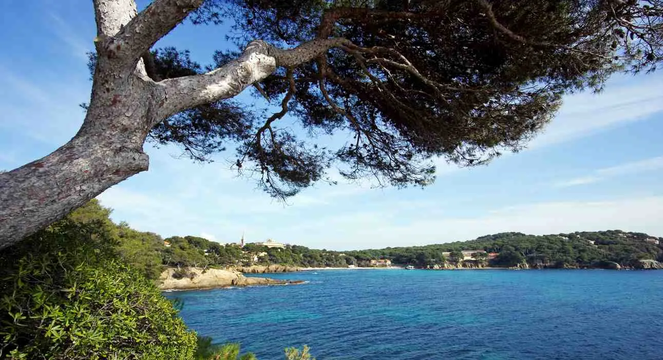 Presqu'île de Giens - Camping Direct Presqu'île de Giens - Camping Direct