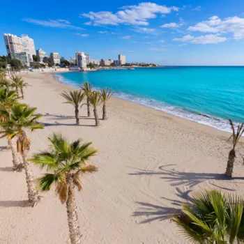 Camping en Alicante - CampingDirect