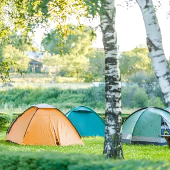 Natuurcamping - CampingDirect