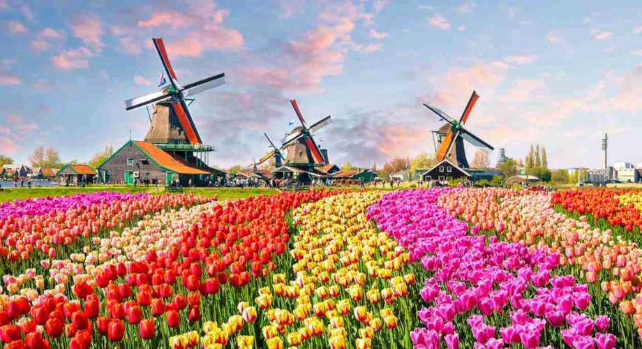 Camping i Holland - CampingDirect