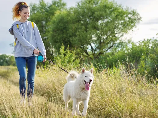 Campeggi cani ammessi - CampingDirect