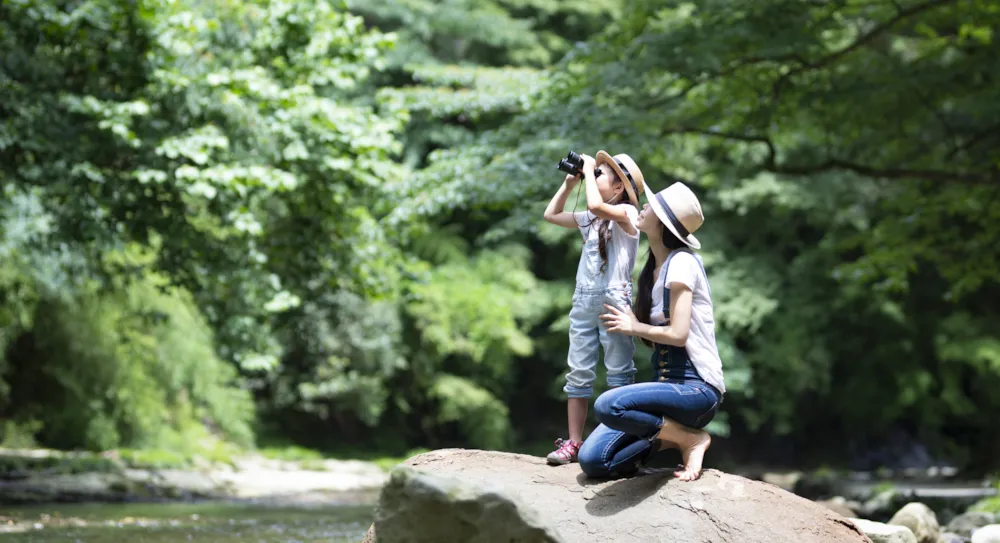 Top 10 des campings VACAF pour des vacances accessibles à tous - CampingDirect - Image n°3