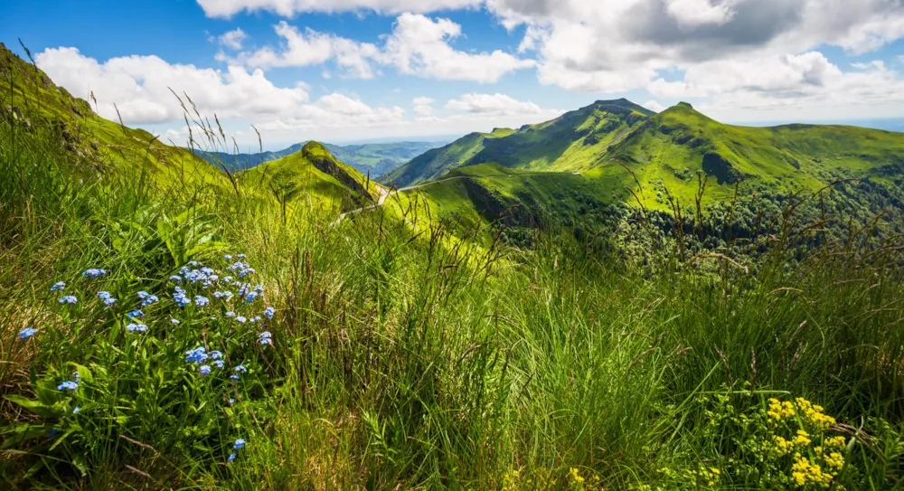 5 campings bien-être pour se ressourcer en Auvergne - CampingDirect - Image n°1