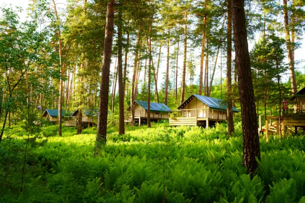 Vacanze slow life: rilassarsi e vivere il momento in campeggio Vacanze slow life: rilassarsi e vivere il momento in campeggio