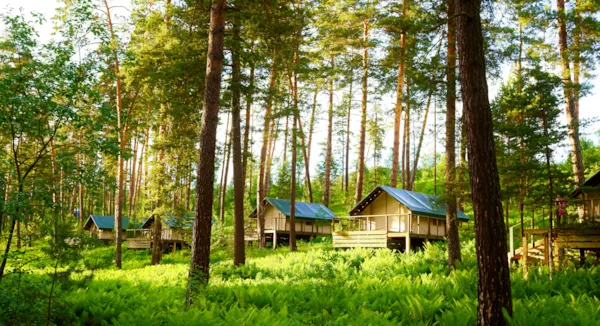 Glamping pour un séjour luxueux en pleine nature Glamping pour un séjour luxueux en pleine nature