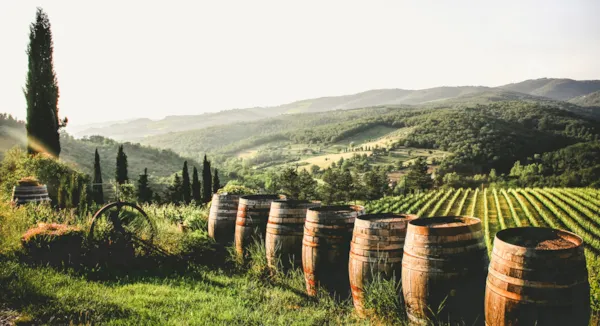 Campeggio e vigneti: alla scoperta delle strade del vino di Bordeaux Campeggio e vigneti: alla scoperta delle strade del vino di Bordeaux