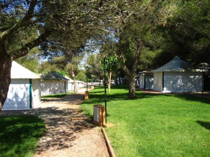 Tienda Amueblada (2 Habitaciones Sin Baño)