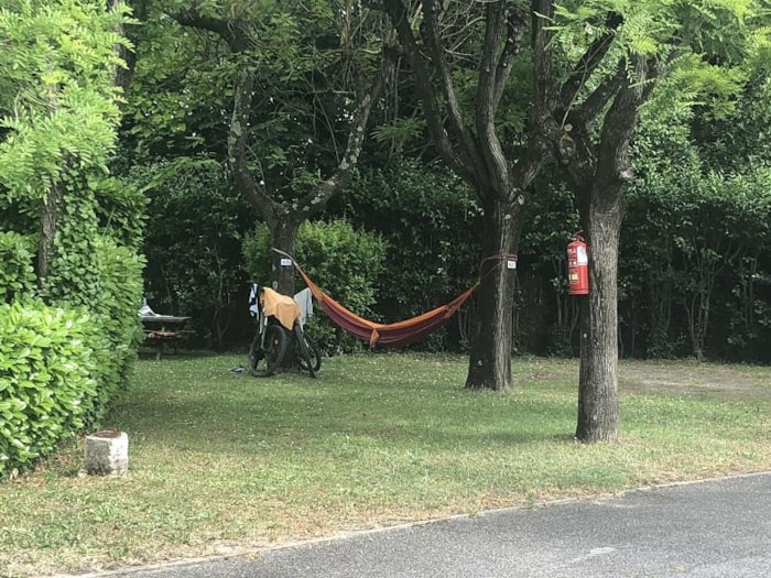 Piazzola