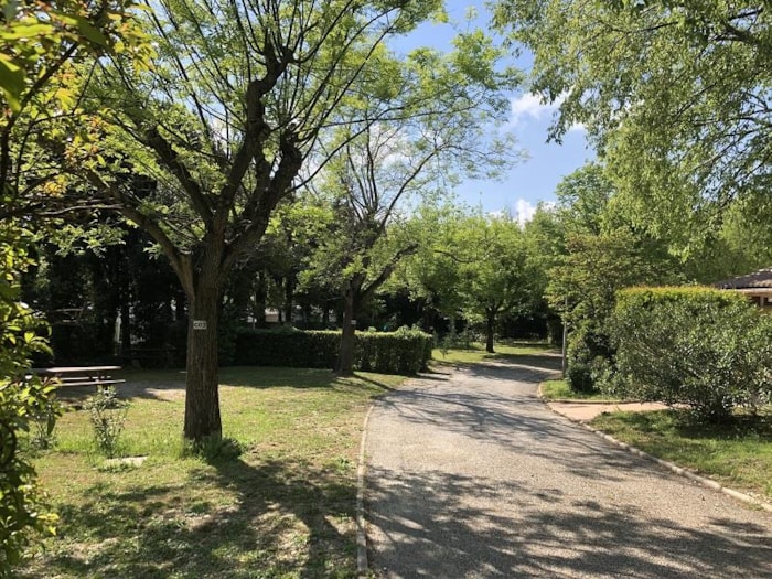 Piazzola