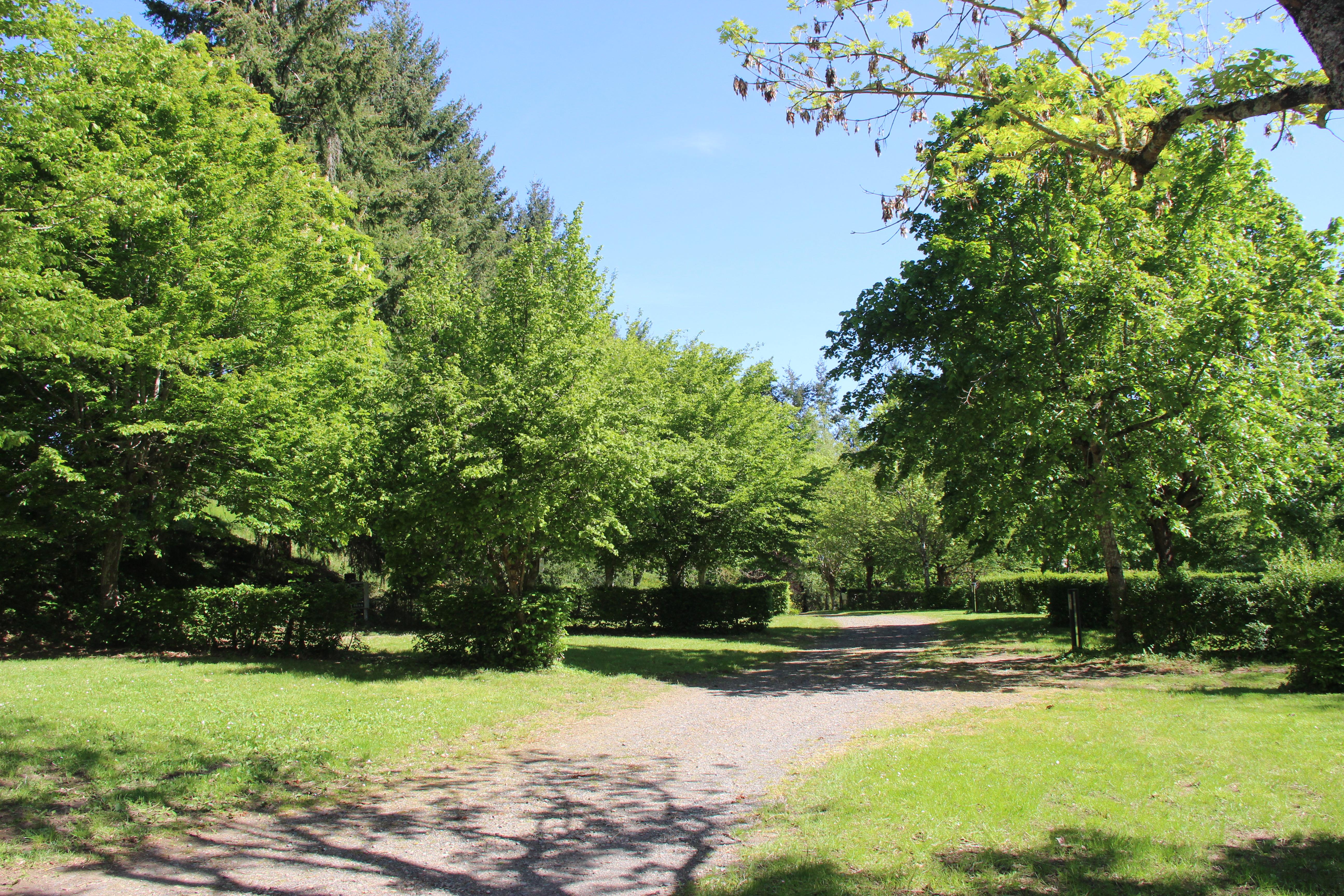 Emplacement - Forfait Nature (1 Tente, Caravane Ou Camping-Car / 1 Voiture) - Camping Le Lac de Saint Point