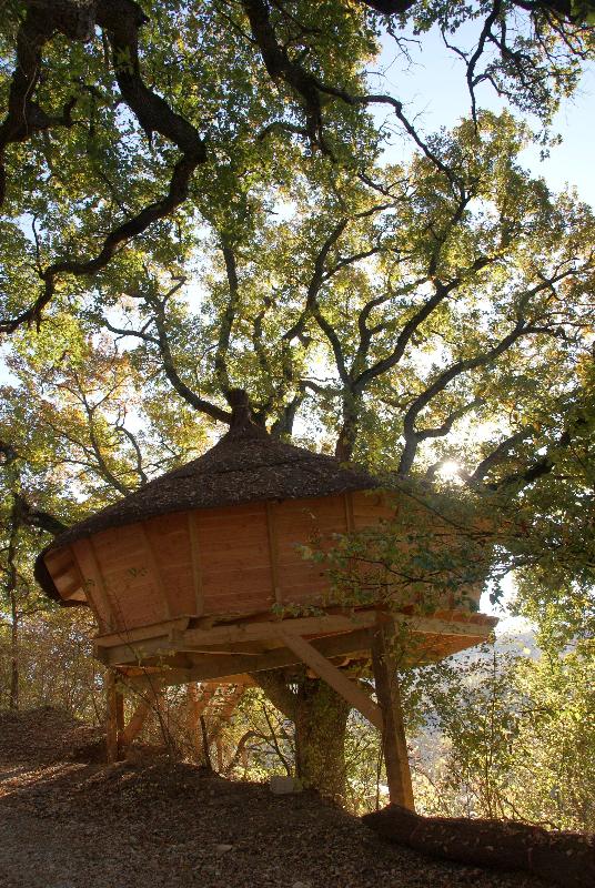 Location - Cabane Dans Les Arbres 24M² 1 Chambre - Avec Sanitaires - Flower Camping La Beaume