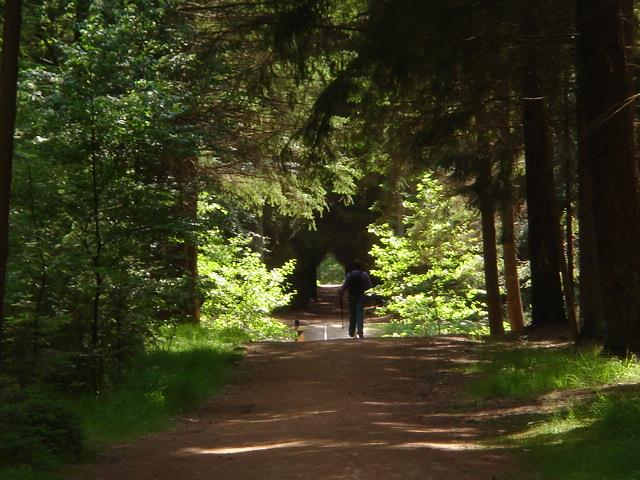 Region Camping Alkenhaer - Appelscha Region Camping Alkenhaer - Appelscha
