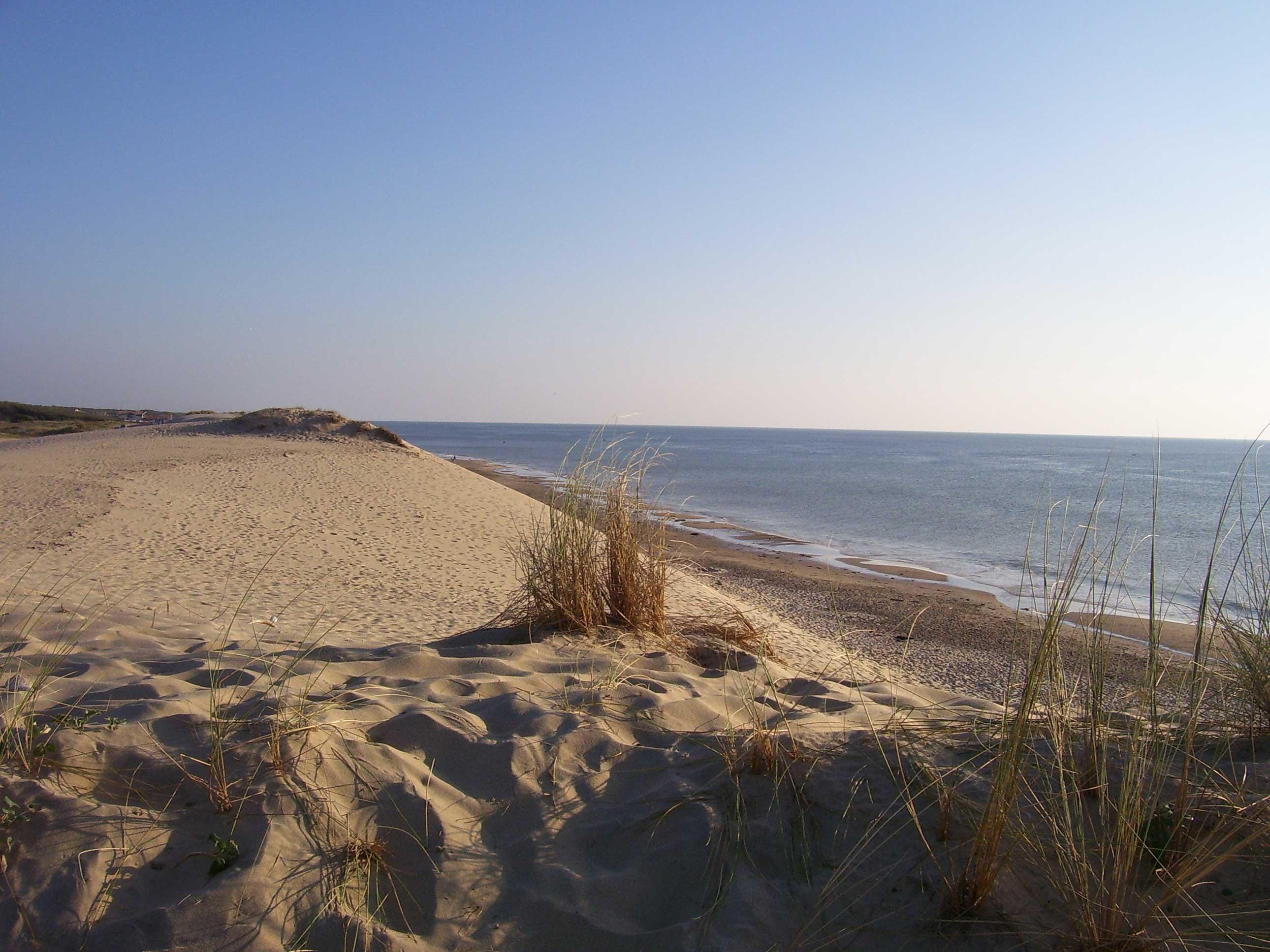 Plages Camping Le Tastesoule - Vensac Plages Camping Le Tastesoule - Vensac