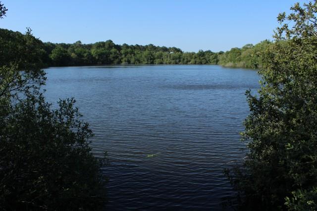 Région moyenne Camping Le Tastesoule - Vensac Région moyenne Camping Le Tastesoule - Vensac