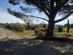 Location - Roulotte-Gîte Coquelicot - La Ferme de l'Autruche Drômoise
