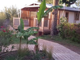 Location - Cabane Lodge Sweet Flower Premium 32M² 2 Chambres - Flower Camping Le Pré des Sables