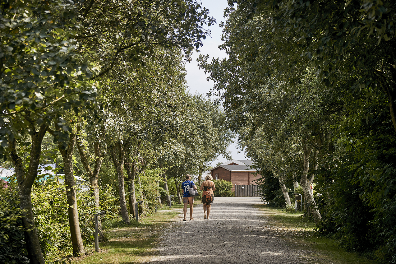 Location - Camping Cabine Avec Canapé-Lit Et Lits Superposés - Horsens City camping