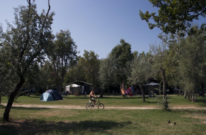 Piazzola + Camper + Elettricità