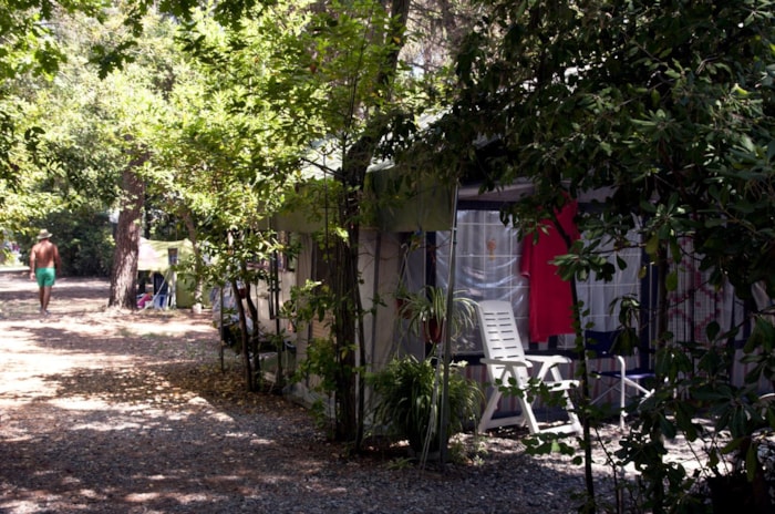 Piazzola + Camper + Elettricità