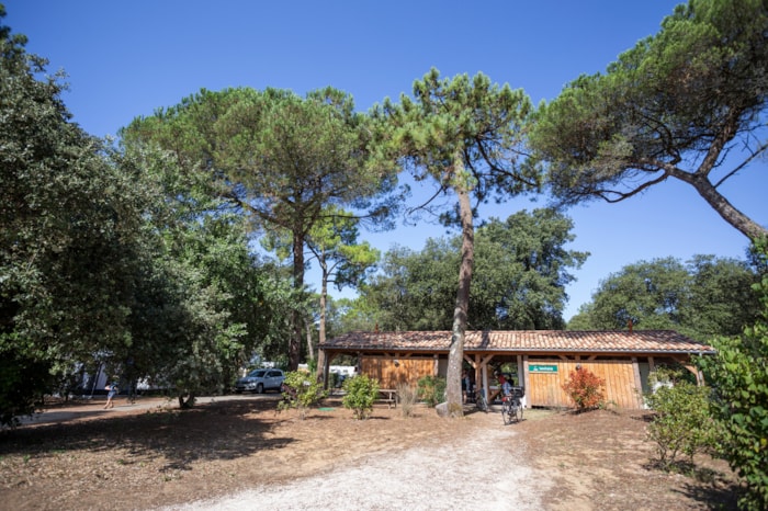 Piazzola Confort