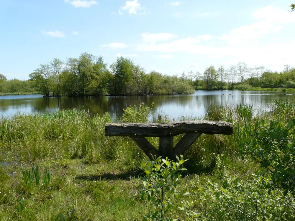 Camping De Wedze Camping De Wedze