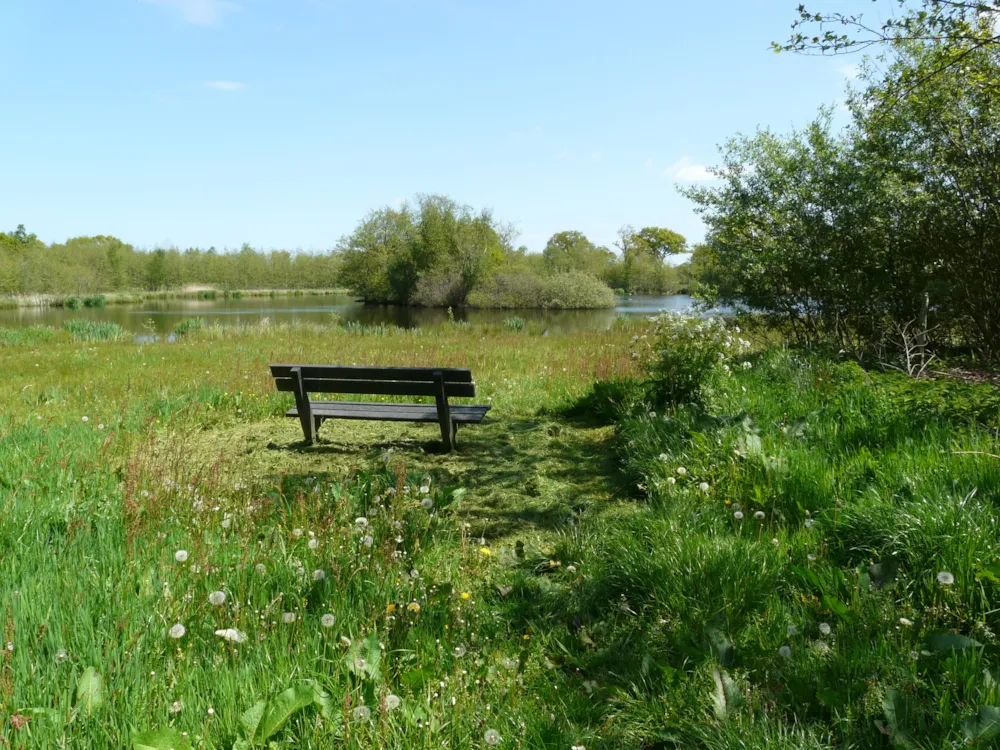 Camping De Wedze Camping De Wedze