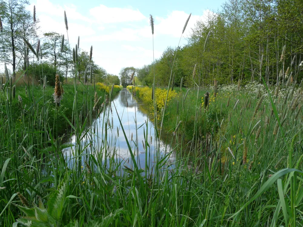 Camping De Wedze Camping De Wedze