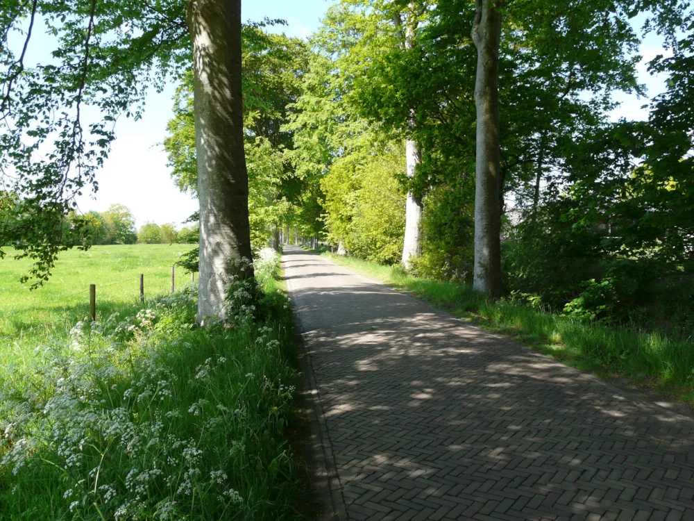 Camping De Wedze Camping De Wedze