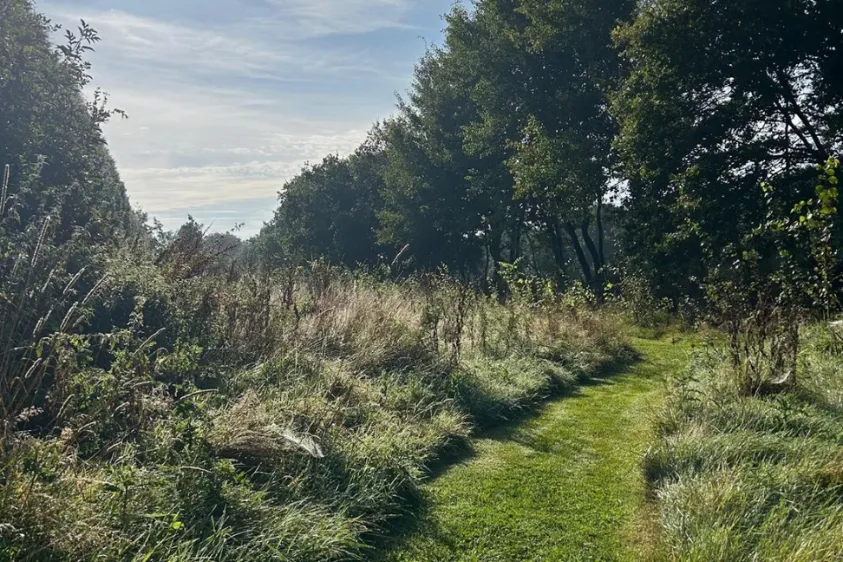 Camping De Wedze Camping De Wedze