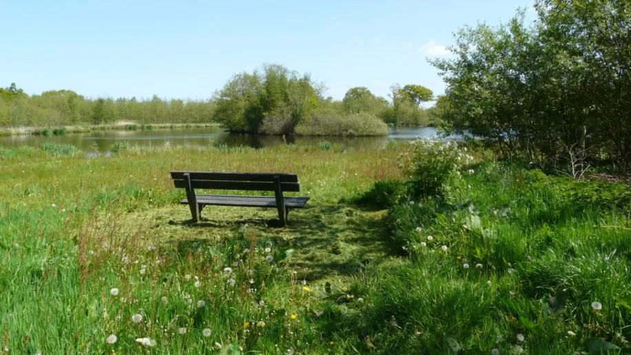 Camping De Wedze Camping De Wedze