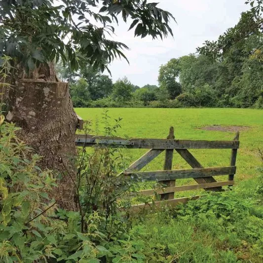 Camping De Wedze Camping De Wedze