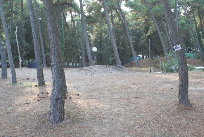 Piazzola : Auto + Tenda O Roulotte O Camper