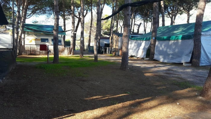 Piazzola