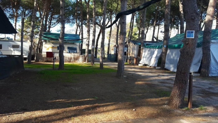 Piazzola Piazzola