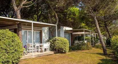 Lodge Lodge