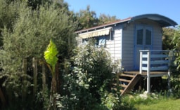Location - Roulotte - Camping Le Chassiron
