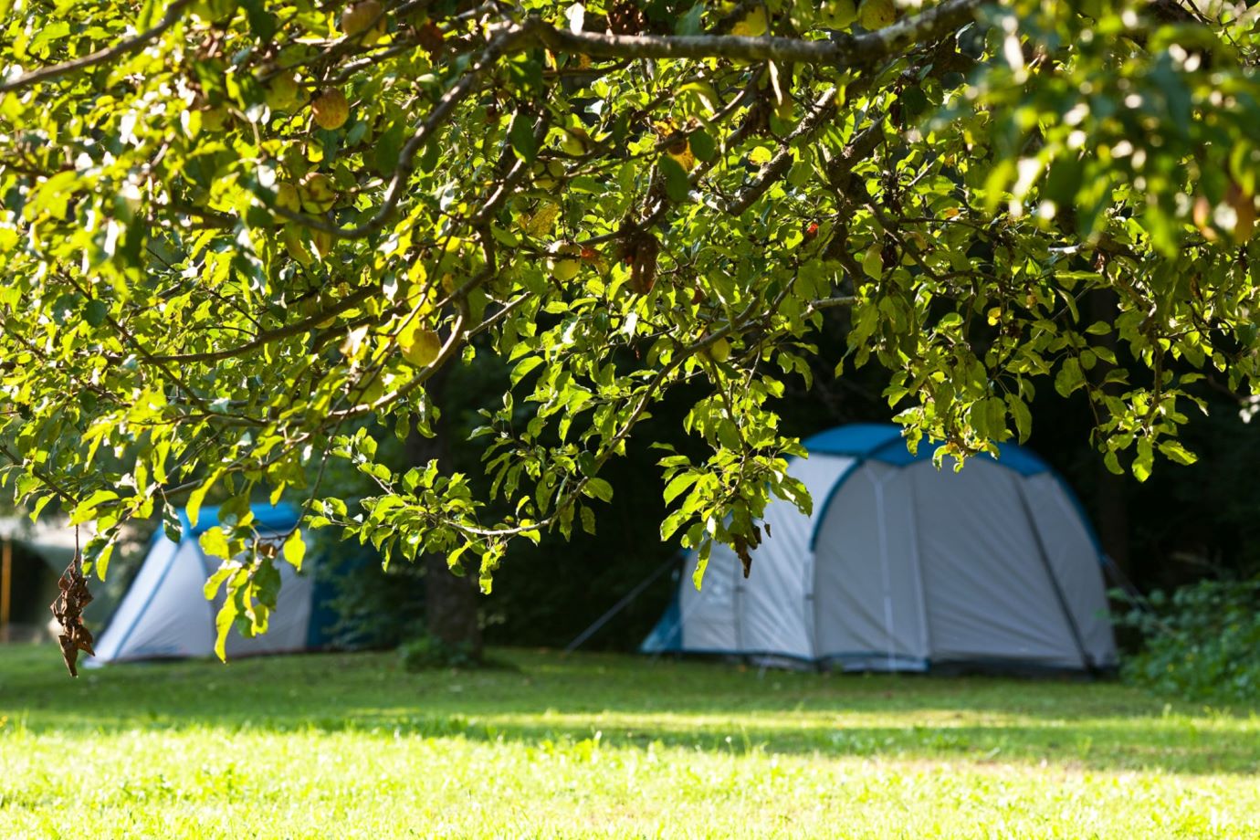 Location - Tente Avec Couchages ( Sans Sanitaires Privés) - Camping Naturplac Na Skali