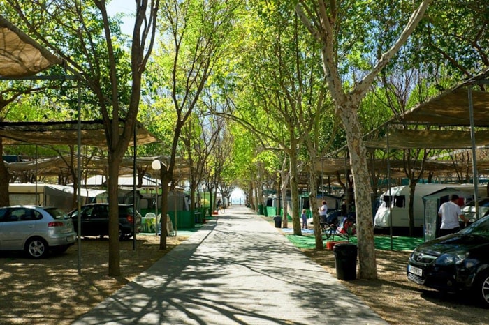 Parcela Mediana Coche + Tienda O Caravana + Electricidad Hasta 8Kwh/Día