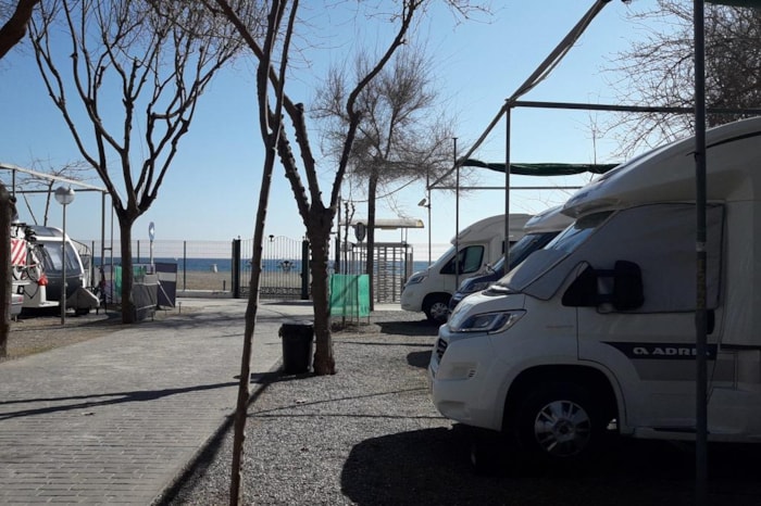 Parcela Mediana Coche + Tienda O Caravana + Electricidad Hasta 8Kwh/Día