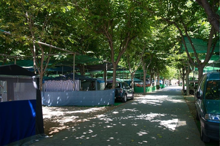 Parcela Mediana Coche + Tienda O Caravana + Electricidad Hasta 8Kwh/Día
