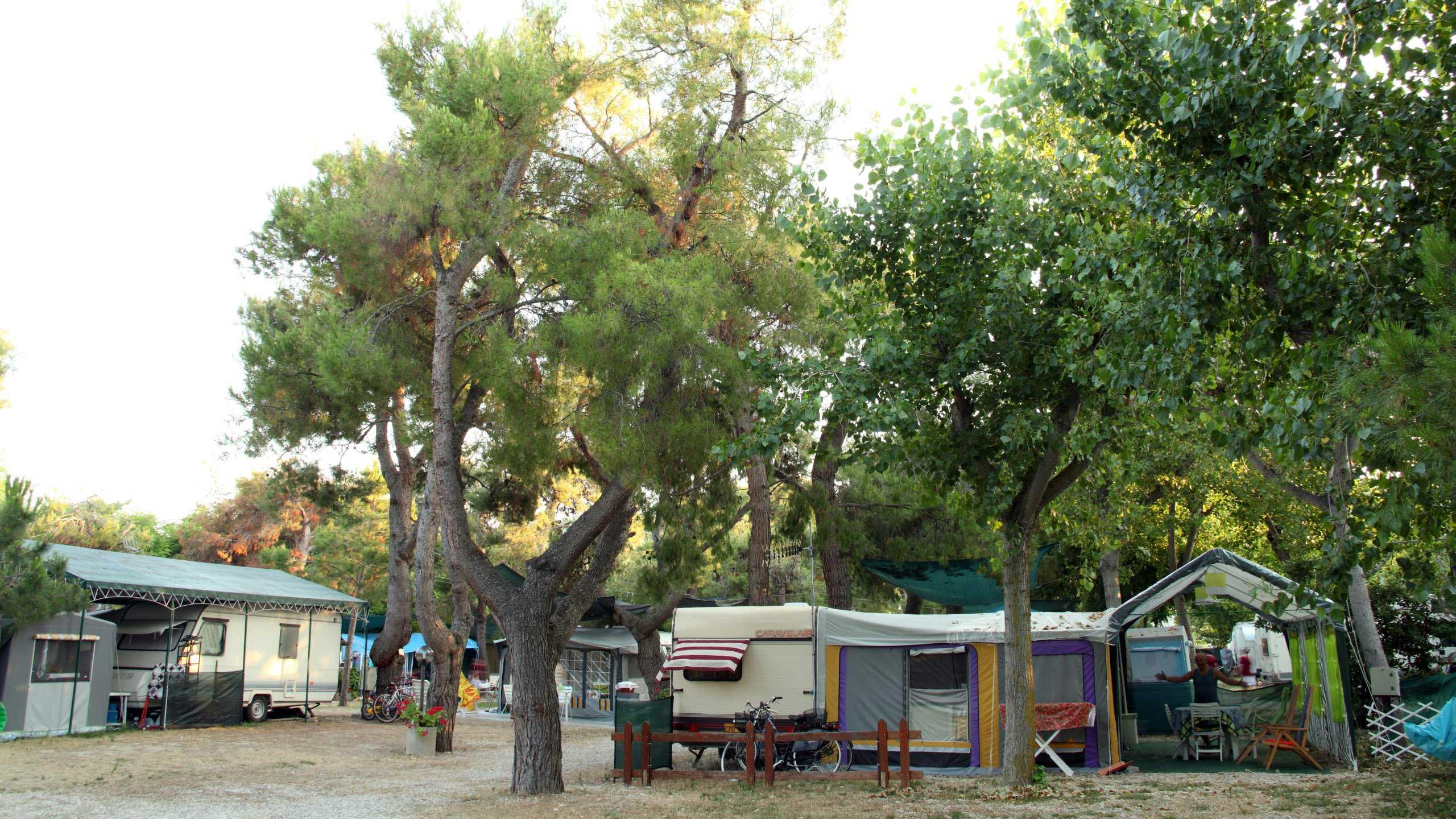 Pitch - Pitch Tent Or Caravan Central Park - Pineto Beach Village e Camping Pitch - Pitch Tent Or Caravan Central Park - Pineto Beach Village e Camping