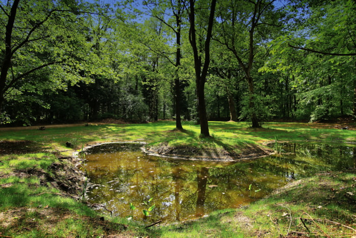 Roulotte In Legno Old Drenthe