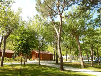 Chalet Standard Chalet Standard