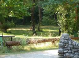 Location - Tente Lodge - 4 Lits Simples - - Camping La Vaugelette